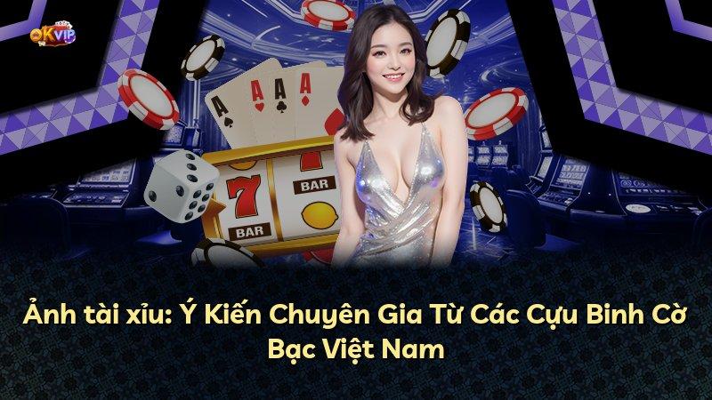 Ảnh tài xỉu: Ý Kiến Chuyên Gia Từ Các Cựu Binh Cờ Bạc Việt Nam