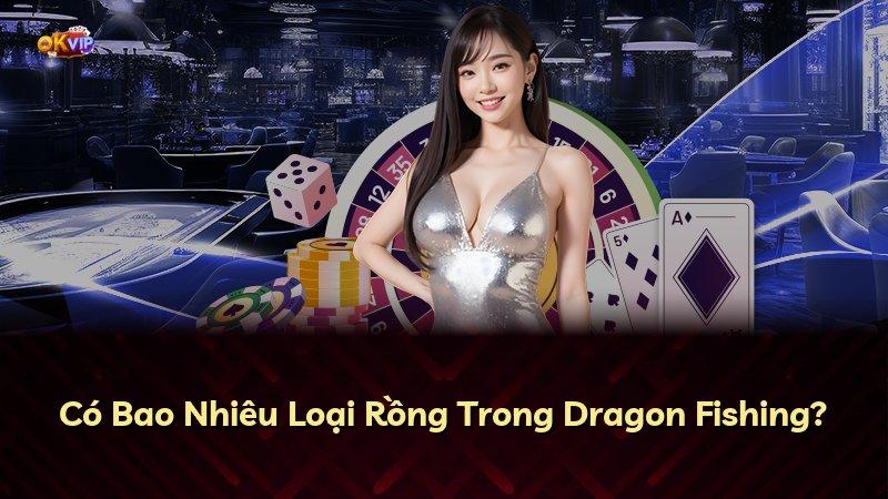 Có Bao Nhiêu Loại Rồng Trong Dragon Fishing?