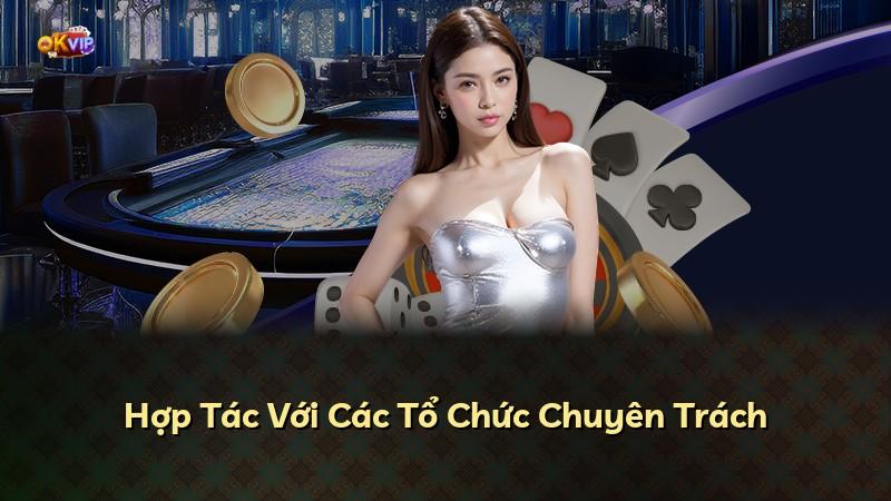 Hợp Tác Với Các Tổ Chức Chuyên Trách