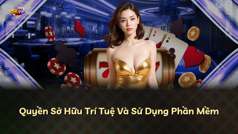 Quyền Sở Hữu Trí Tuệ Và Sử Dụng Phần Mềm