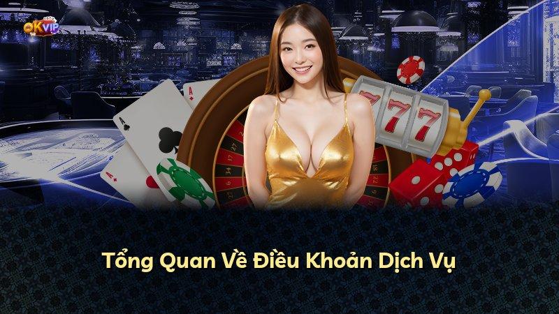 Tổng Quan Về Điều Khoản Dịch Vụ